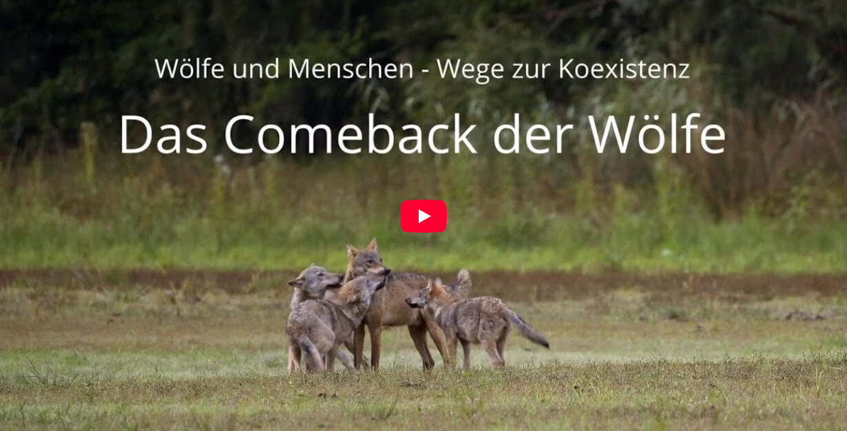 Link zum Film